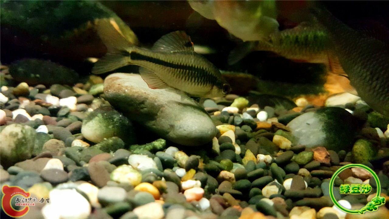 2016-02-09 11.43.51.jpg