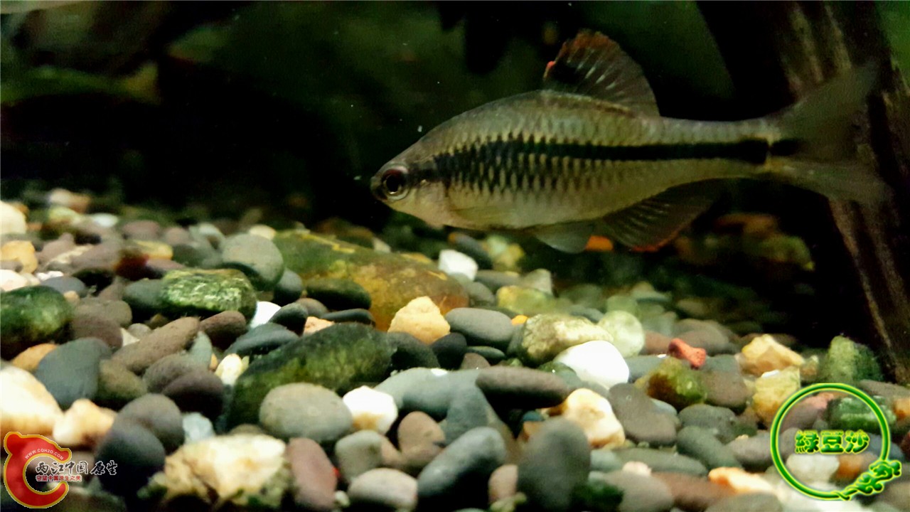 2016-02-09 11.44.23.jpg