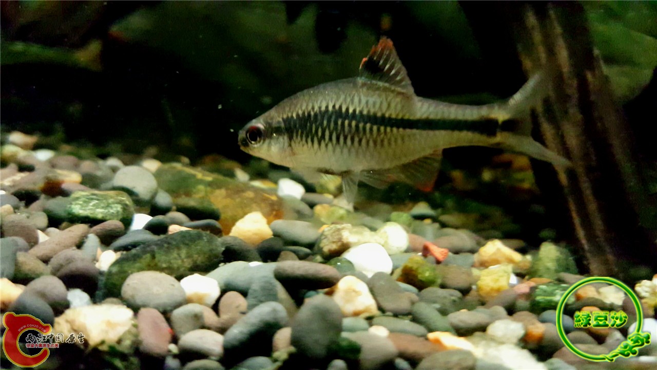 2016-02-09 11.44.58.jpg