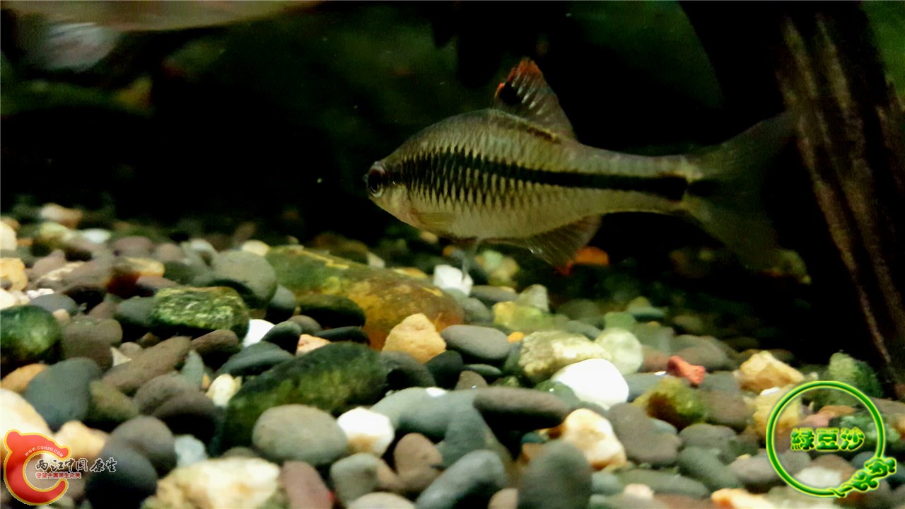 2016-02-09 11.45.43.jpg