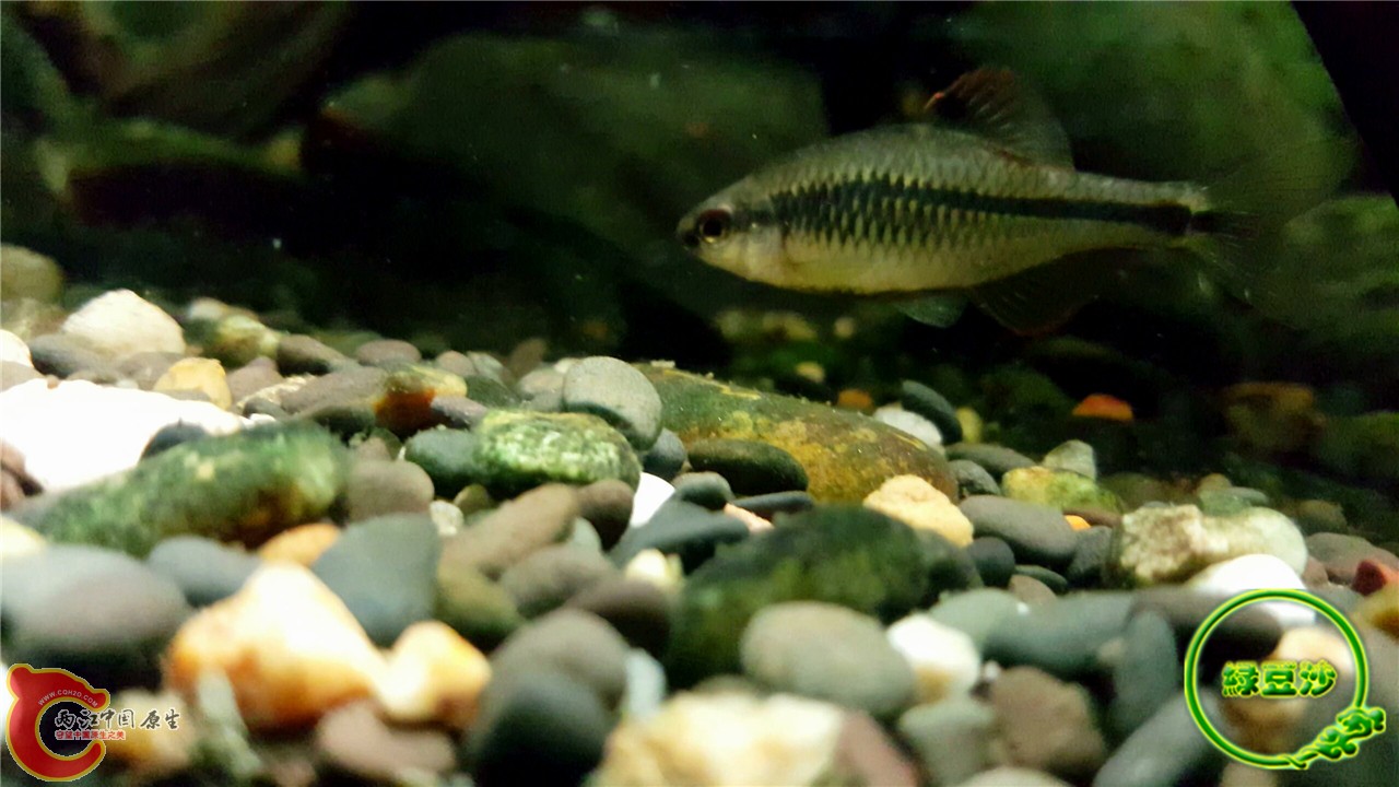 2016-02-09 11.46.10.jpg