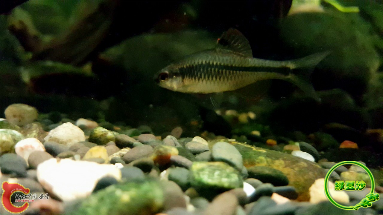 2016-02-09 11.46.40.jpg