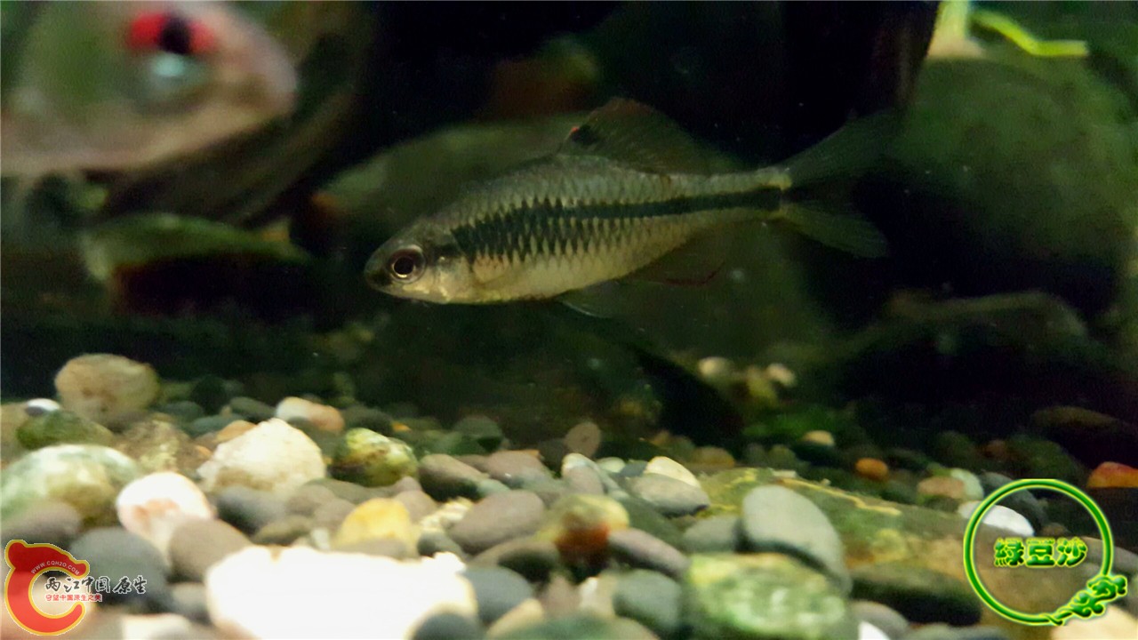 2016-02-09 11.47.11.jpg