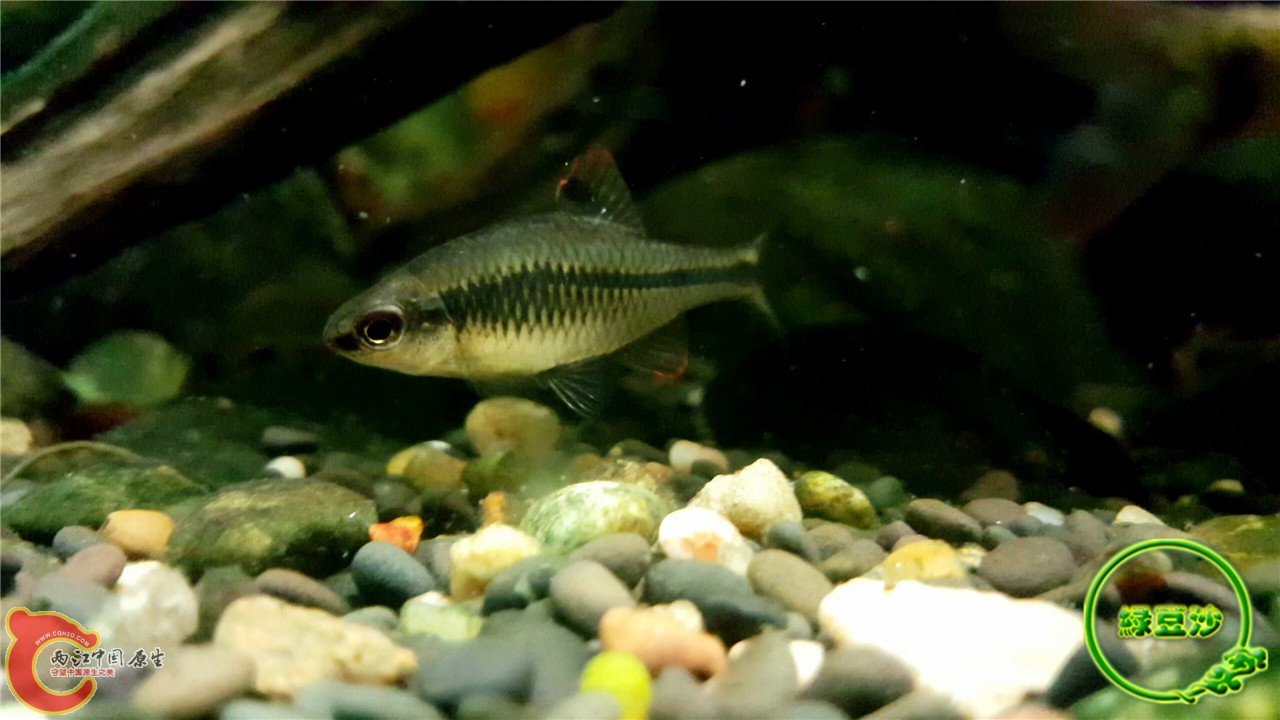 2016-02-09 11.47.40.jpg