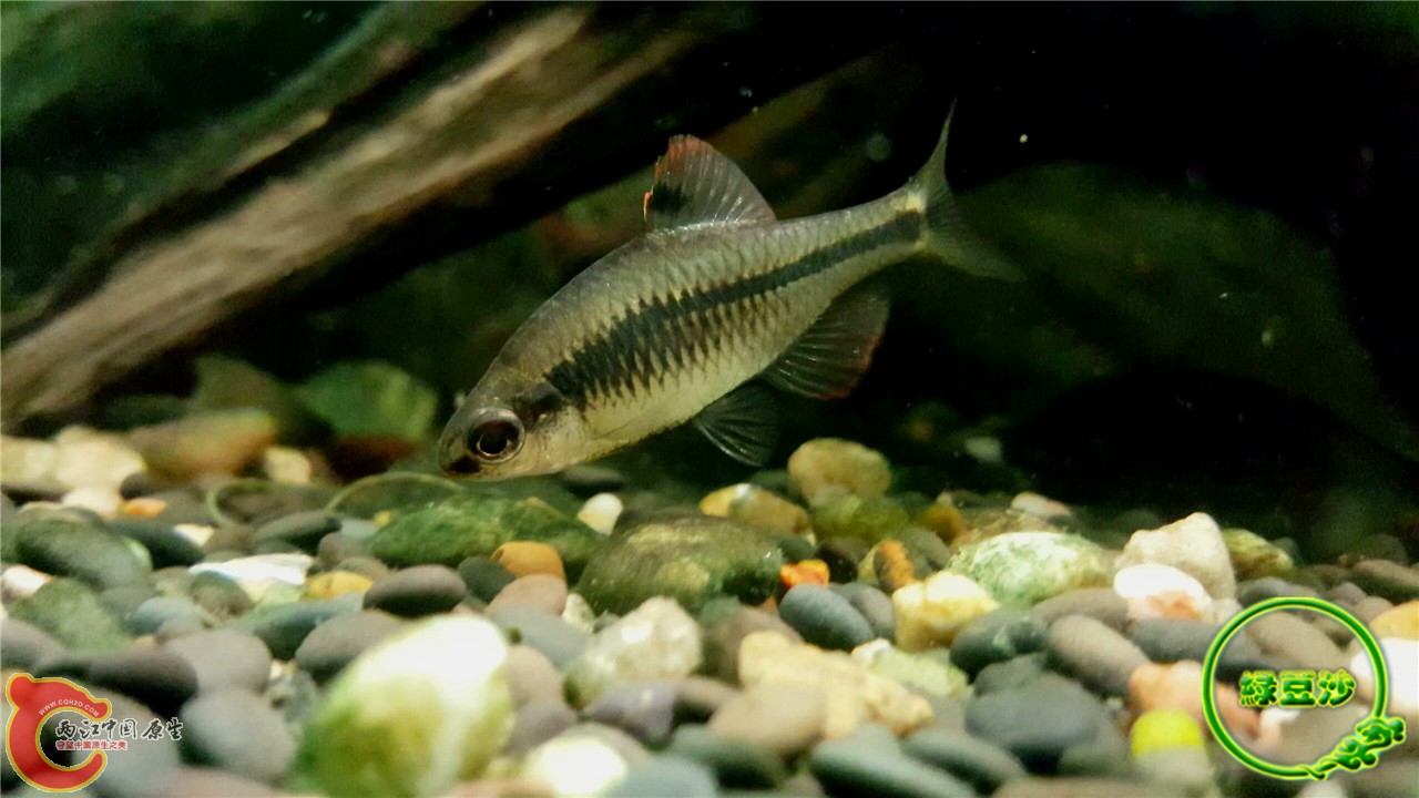 2016-02-09 11.48.56.jpg