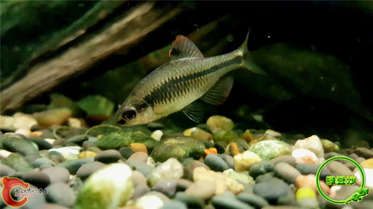 2016-02-09 11.49.38.jpg