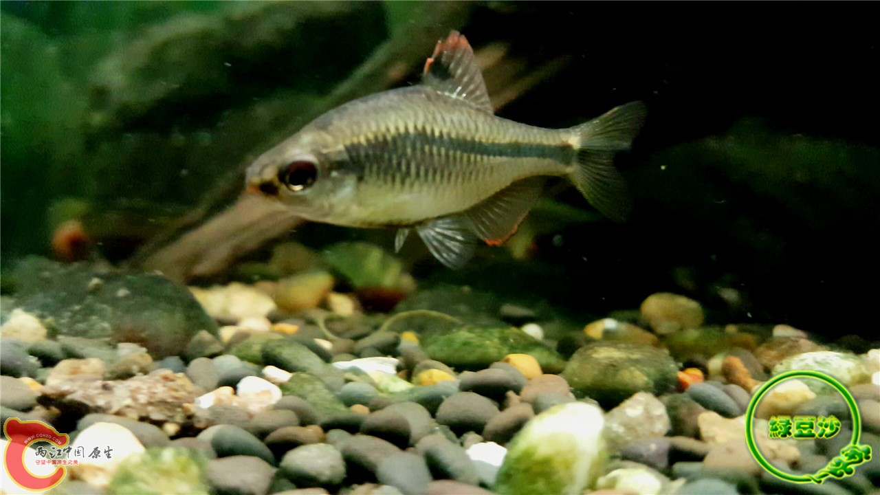 2016-02-09 11.50.21.jpg