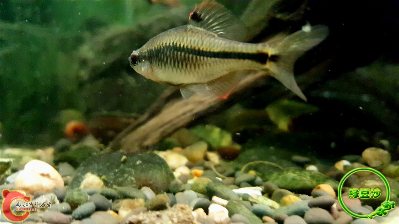 2016-02-09 11.51.05.jpg