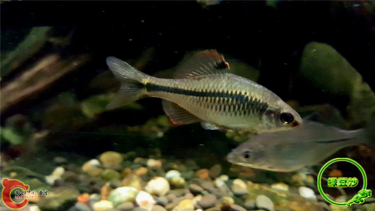 2016-02-09 11.51.49.jpg