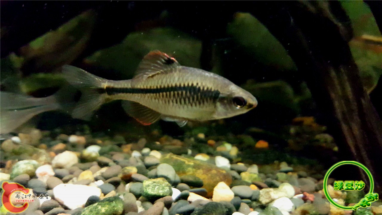 2016-02-09 11.52.25.jpg