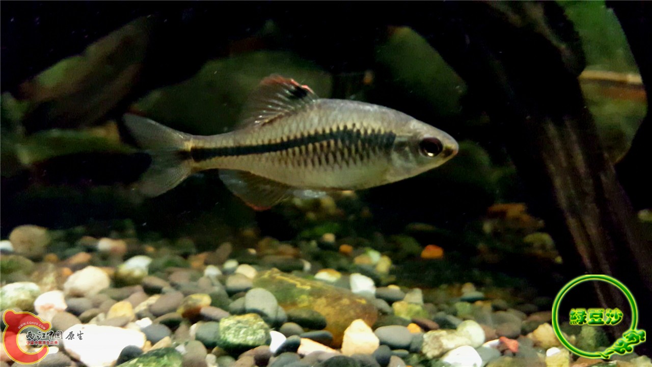 2016-02-09 11.52.55.jpg