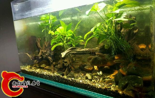 2016-02-11 00.07.26.jpg