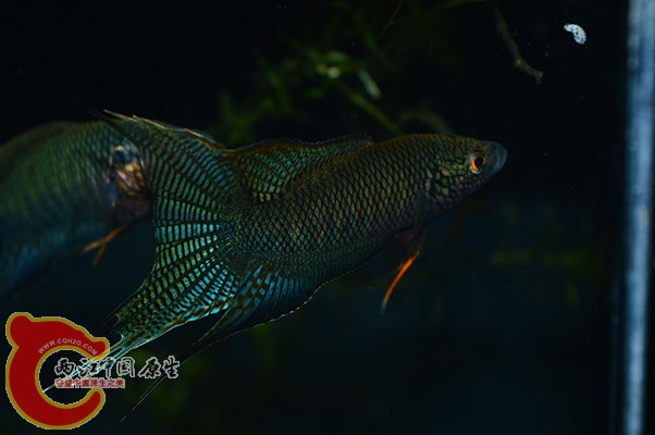 DSC_0089 副本.JPG