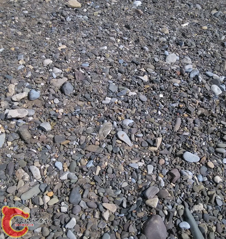 4_123020.jpg
