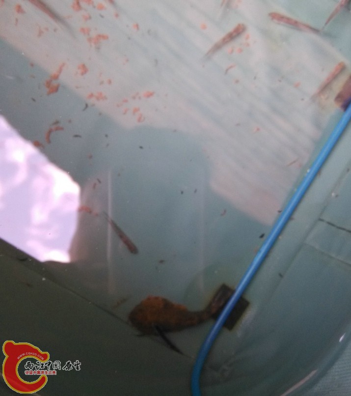 10_181724.jpg