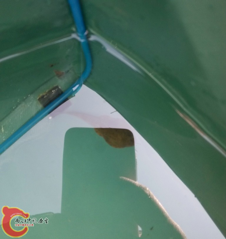 12_121340.jpg