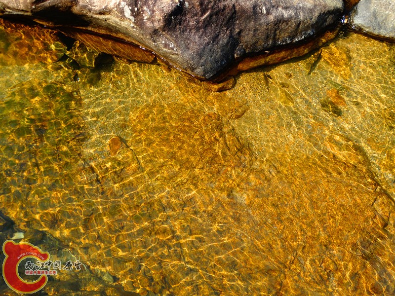 DSC02252.JPG
