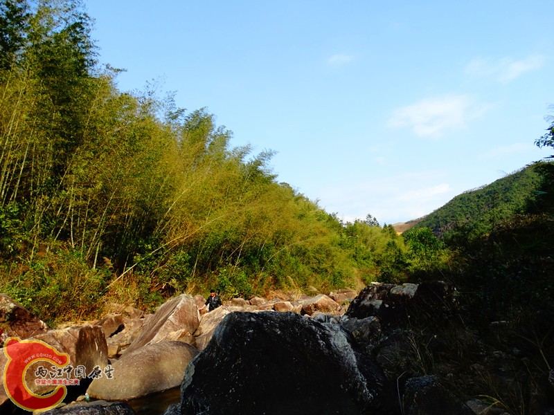 DSC02256.JPG