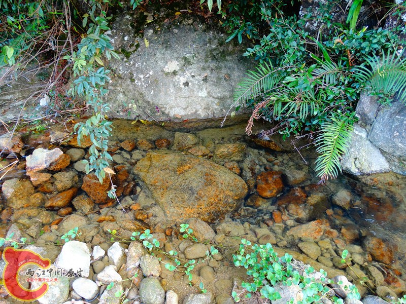 DSC02265.JPG