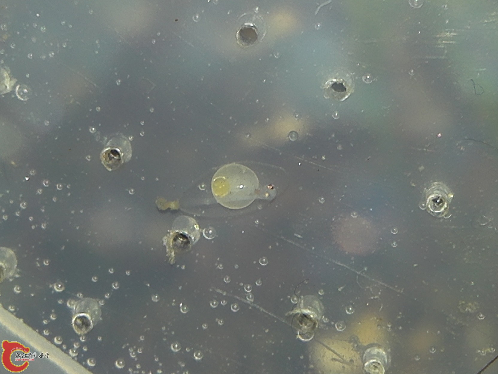 2月3日 掉出来了.jpg