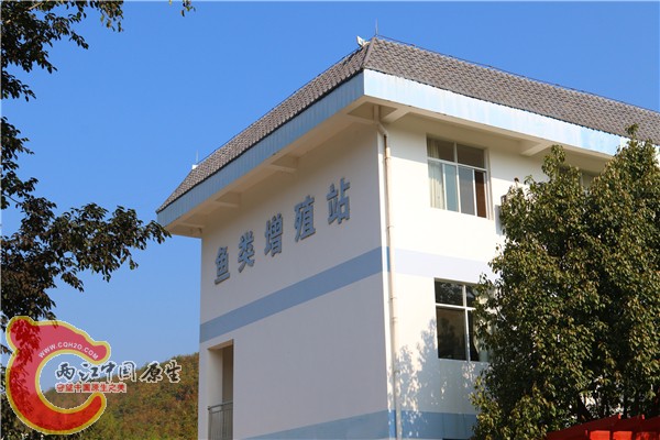 377A4272.jpg