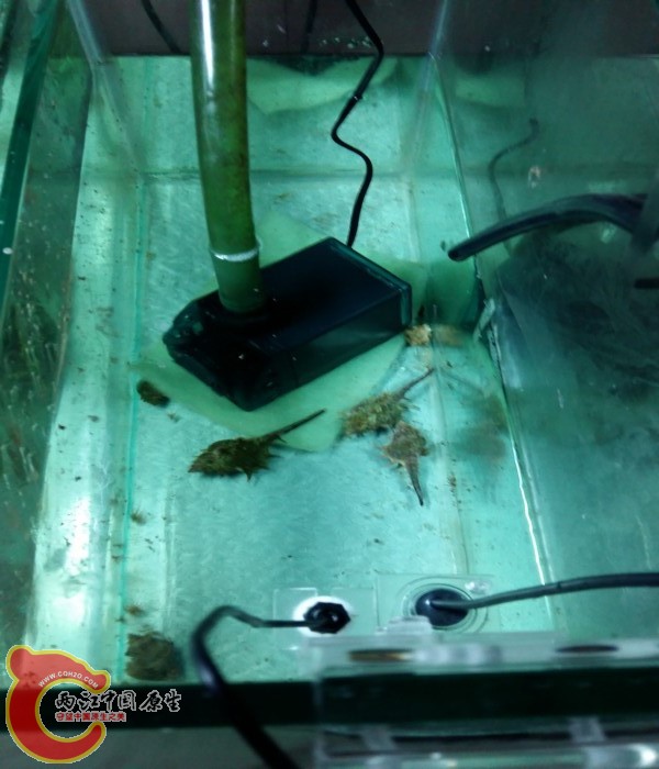 20150707_215747.jpg