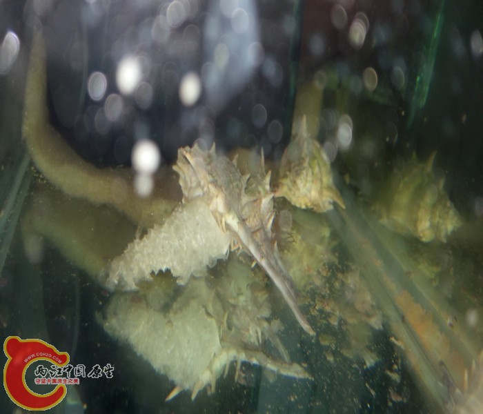 20150823_104659.jpg