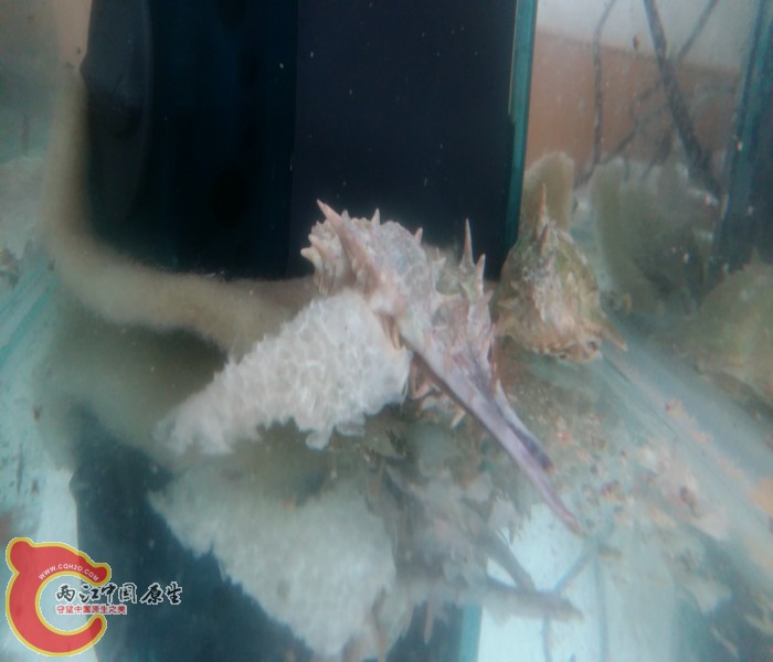 20150823_104938.jpg