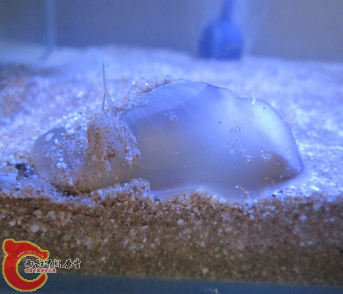 IMG_8485.jpg