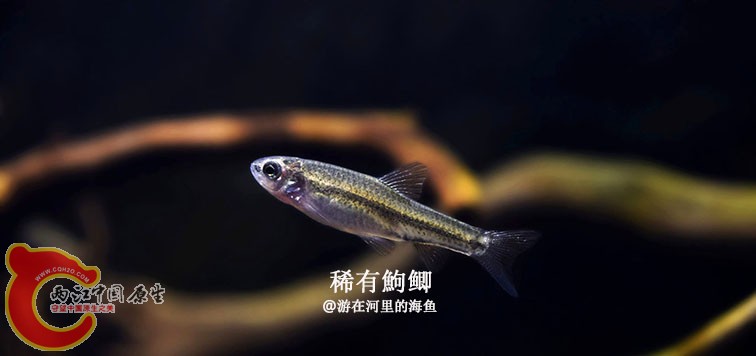 _DSC0397_副本.jpg