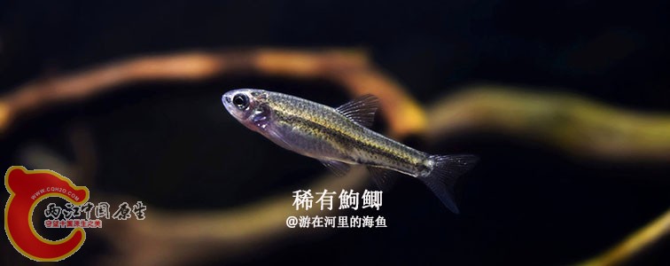 _DSC0397_副本.jpg