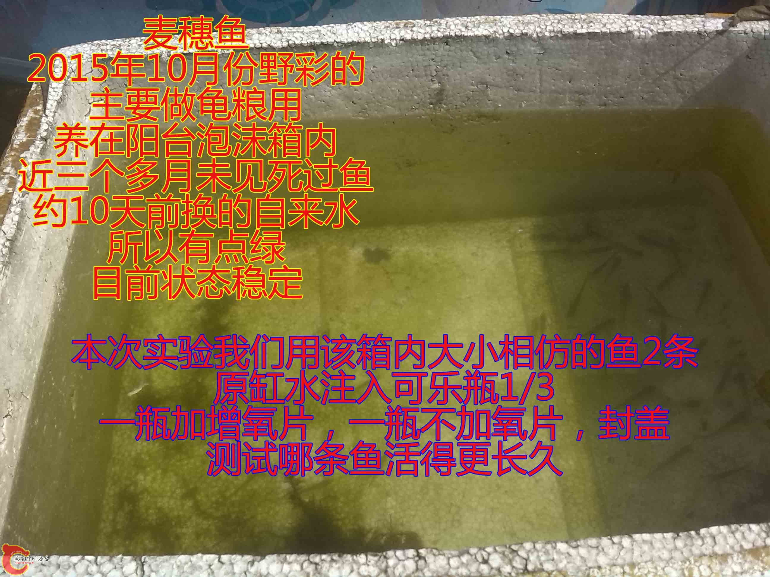 IMG_20160225_130517.jpg