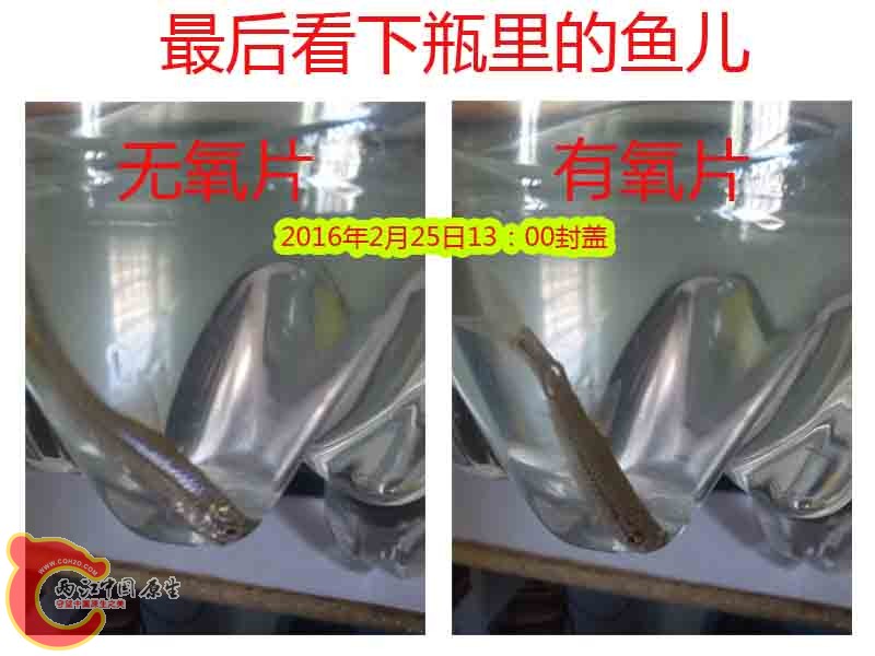 装好.jpg