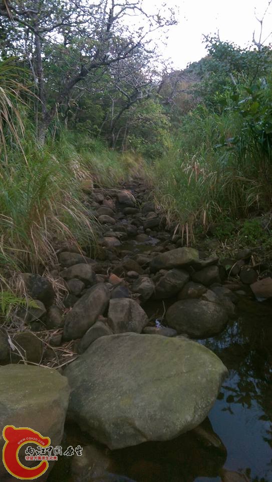 第四條野溪入口也是最好走的一小段