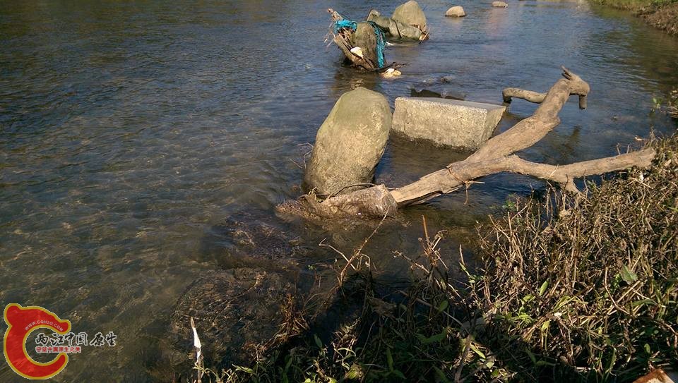 這種地方往往會有意想不到的收穫