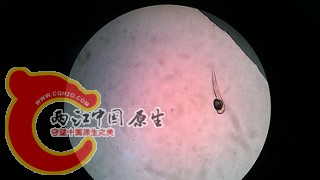 22149819888_6dfb57a8f0_n.jpg