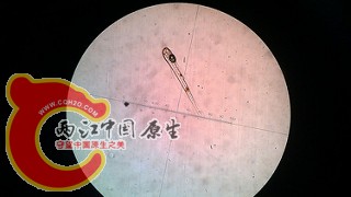 22337565305_53b888ff91_n.jpg