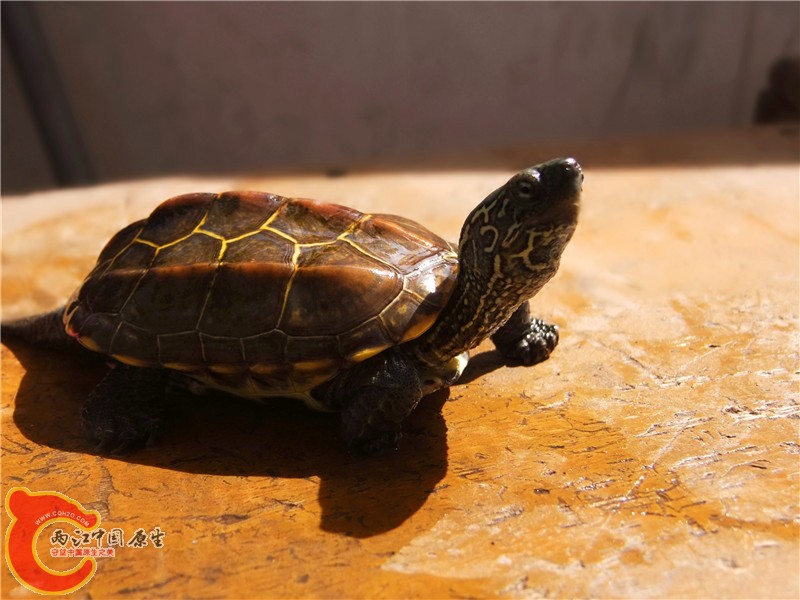 DSCF5059.jpg