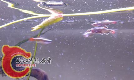 QQ图片20160311140145.png