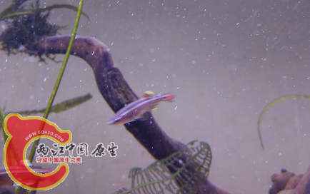 QQ图片20160311140247.png