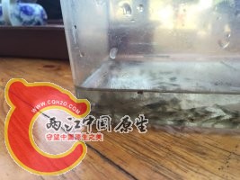 c69db3854487e6df3baf08fc5dba06bc_dFkBAAAAAAAAnull&amp;bo=6gPuAgAAAAAFByE!&amp;rf=pho.jpg