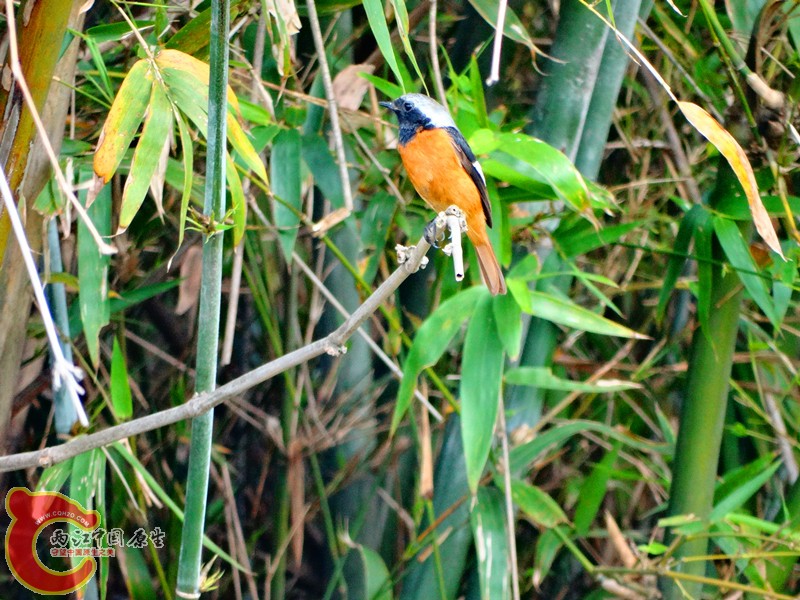 DSC02305.JPG
