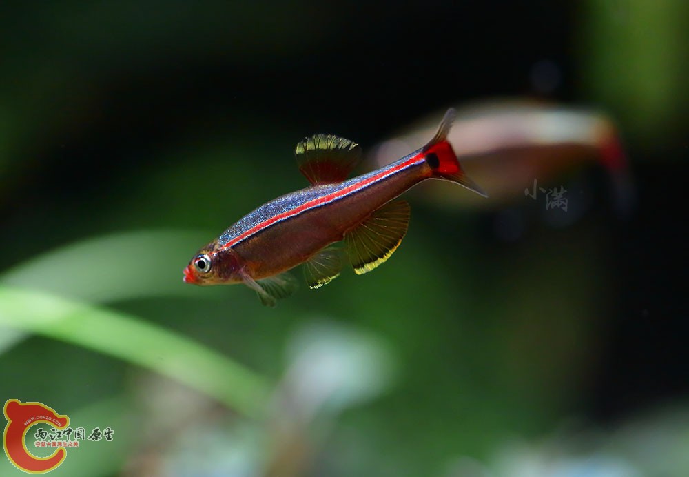 9D9A8270-x - 副本.jpg