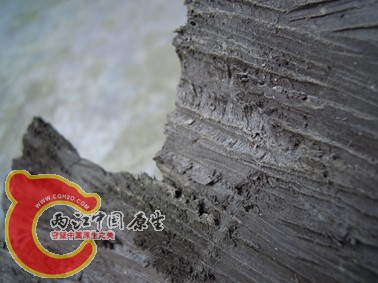 DSCN1129.jpg