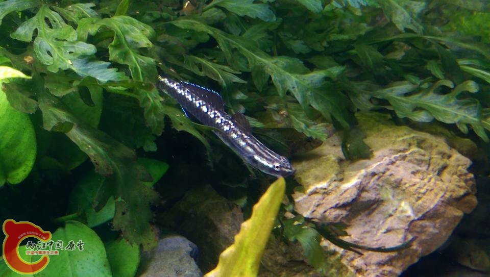 每天起床必先看的