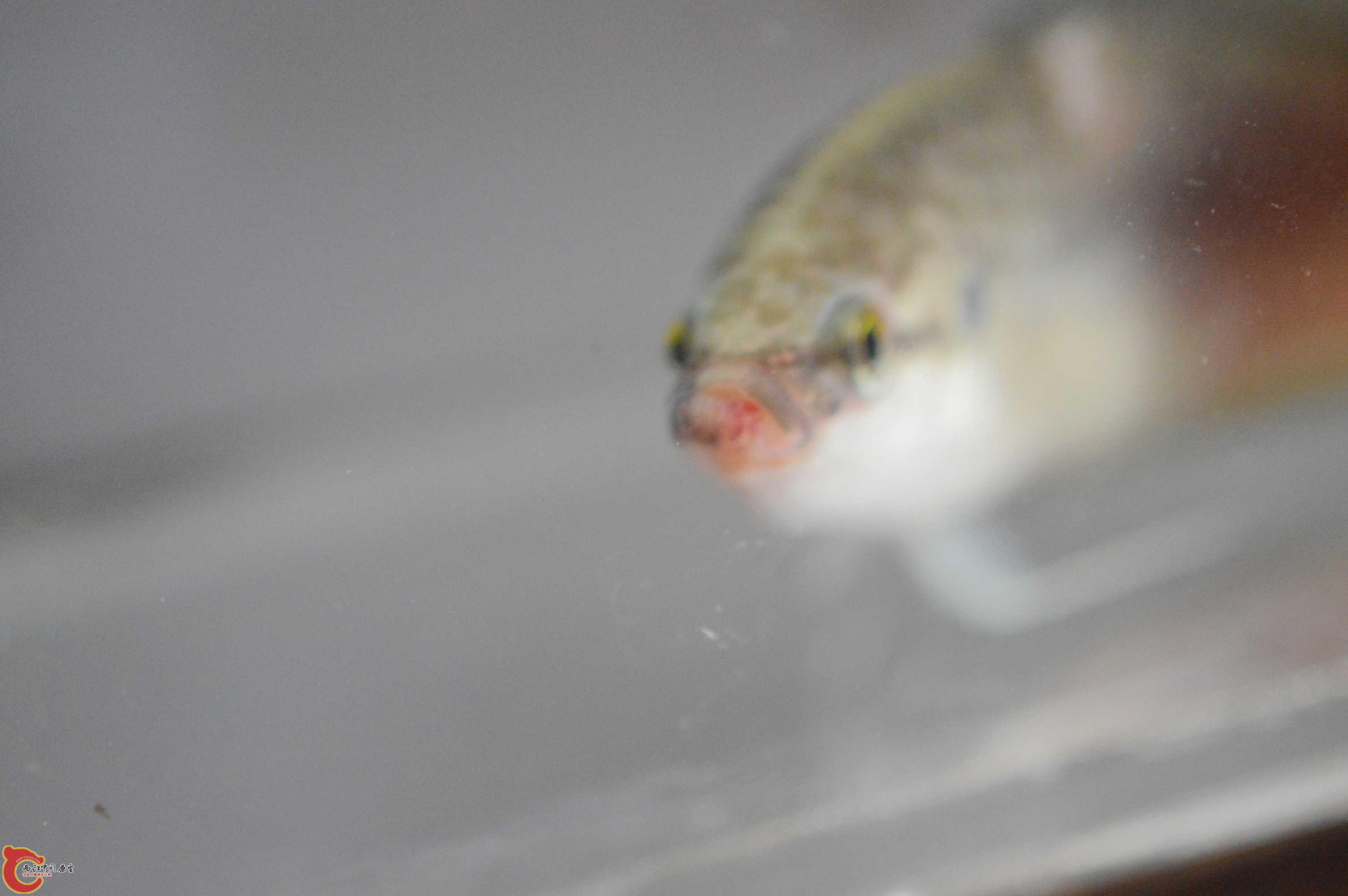 DSC_0002.JPG