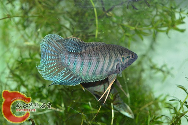 DSC_0092 副本.JPG