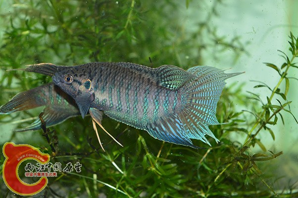 DSC_0093 副本.jpg