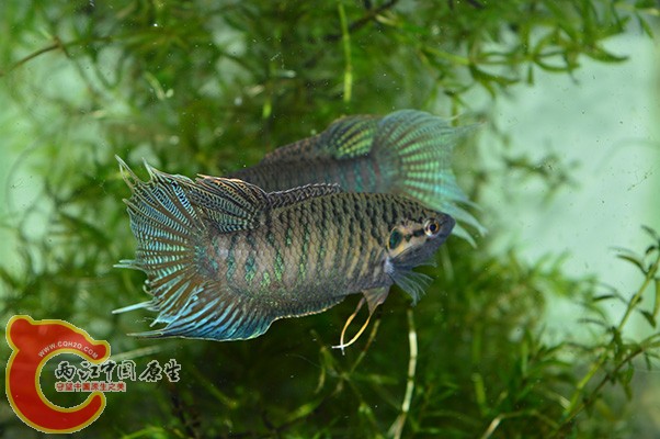 DSC_0097 副本.JPG