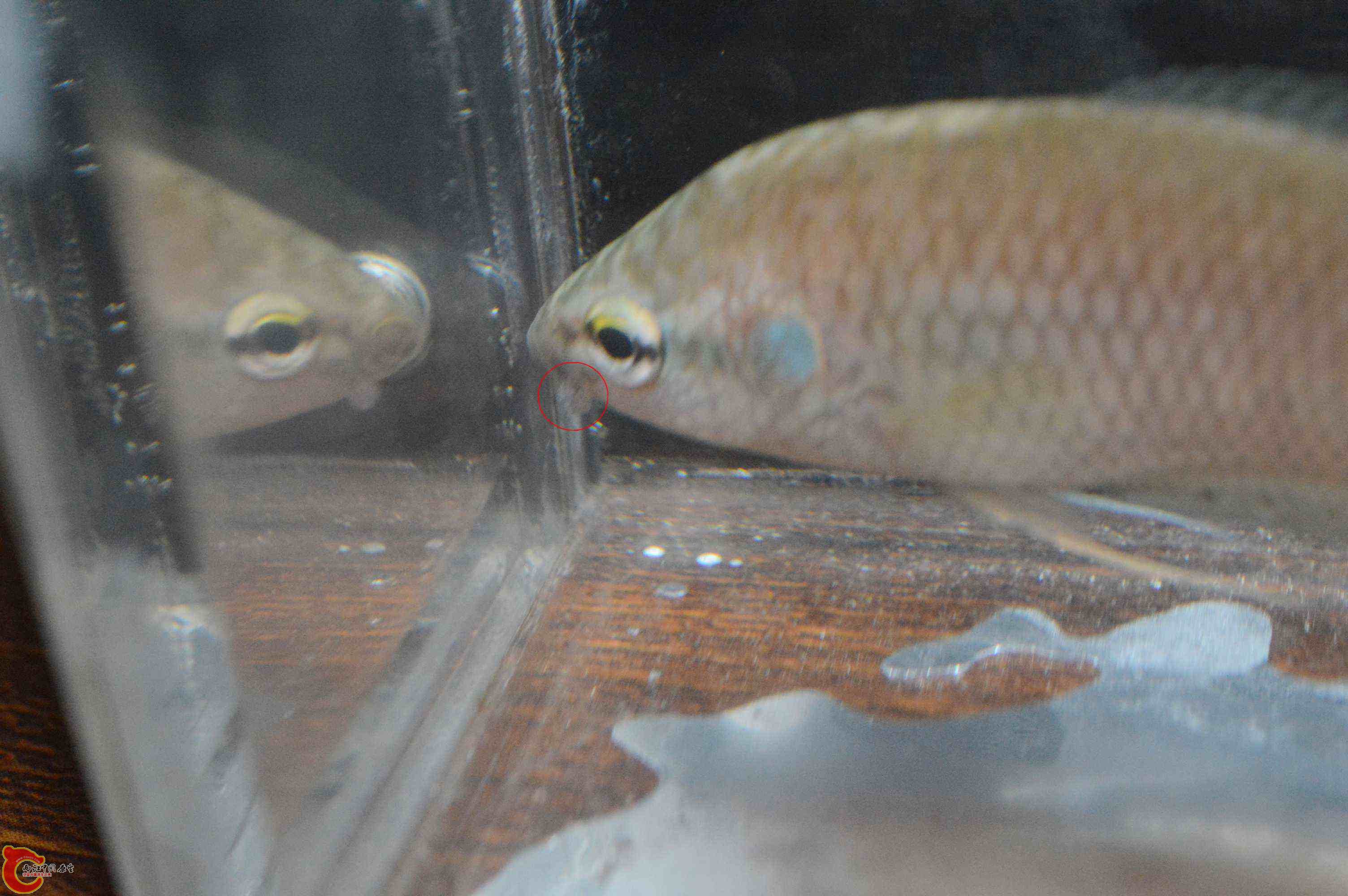 DSC_0001.jpg
